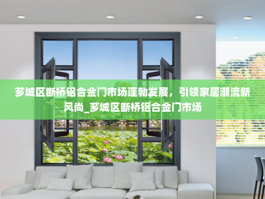 芗城区断桥铝合金门市场蓬勃发展，引领家居潮流新风尚_芗城区断桥铝合金门市场